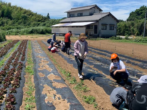源じいの森ファームの農業体験イベント(地域おこし協力隊の活動)