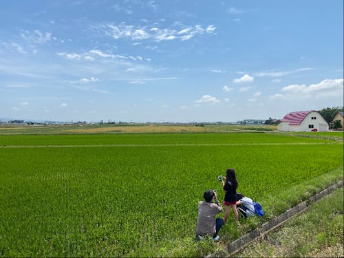 心癒される風景が至るところにあります。