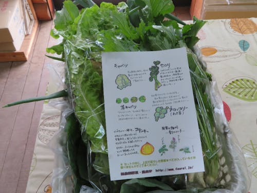 風来の野菜の詰め合わせ