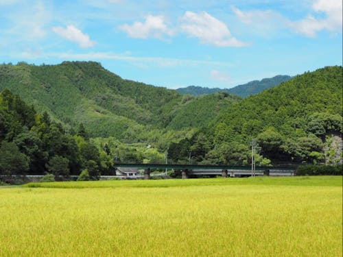 こんな地域での暮らし方と働き方を考えてみましょう。