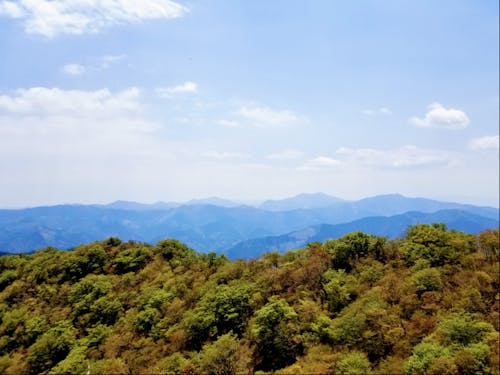扇山からの眺め