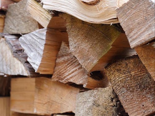 寒い日の夜はみんなで火を囲んでお話ししたりもします。林業地ならでは、薪はすぐに手に入ります!