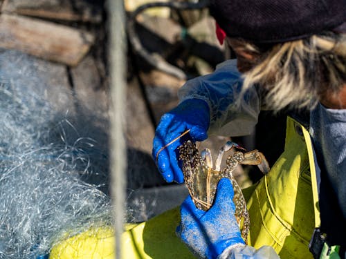 農林水産業に関連する活動