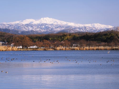 温泉郷やモノづくりが特徴の加賀