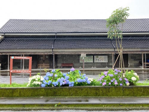 滞在拠点、交流拠点のたかくま石蔵館 飲みものやおやつをご用意。人気レストランのシェフを招いてのサンセットディナーも予定。(10月)