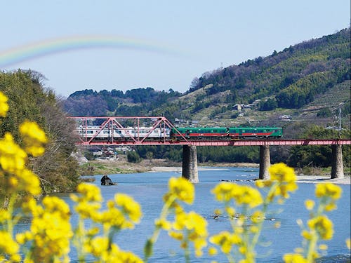 【橋本市】なんばまで直通約50分!なのに山河の自然も豊かです