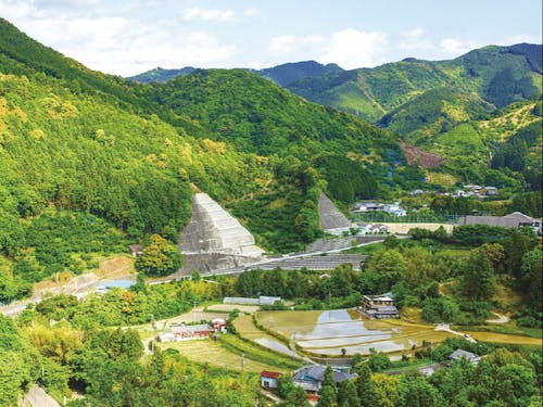 【みなべ町】南高梅や紀州備長炭などが有名!美しい山・川・海のある町