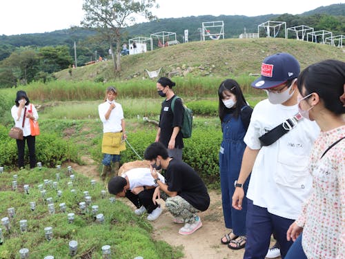 ハーブ園のハーブ見学