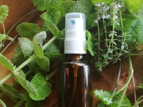 10/24 第5回「やまぐち定住カフェ」岩国市にて開催