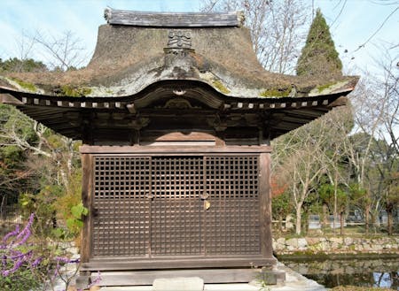 滋賀県湖南市にある長寿寺は、紅葉の名所として有名。
