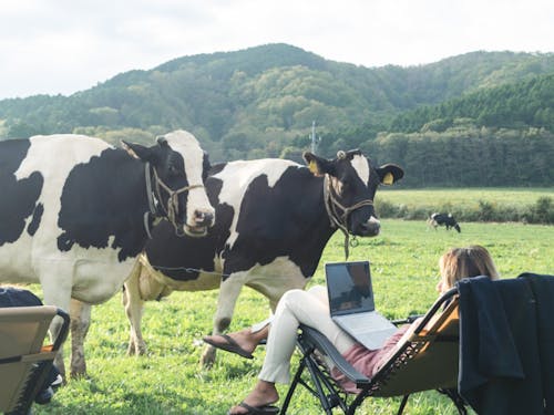 ワーケーションツアーの様子