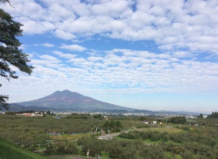 「津軽富士」と称される岩木山と、りんご畑の美しい弘前の風景