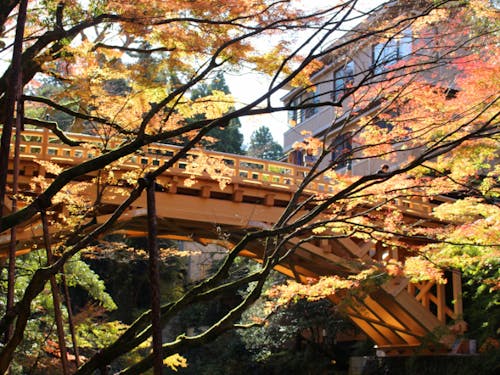 名湯揃いの加賀温泉郷