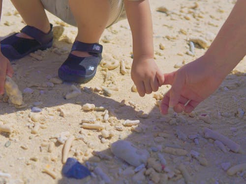 白い砂や貝やサンゴも子どもの遊び場に!!