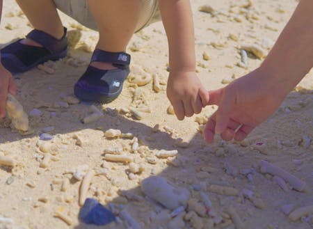 白い砂や貝やサンゴも子どもの遊び場に！！