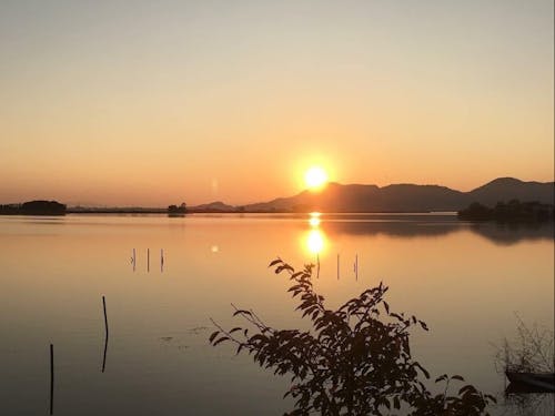 西の湖の夕日