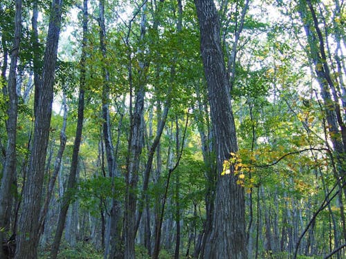 地球46億年の歴史を4.6kmで歩く<ディープタイムウォーク>