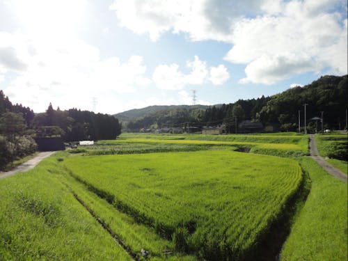 山間の地域でスローライフ