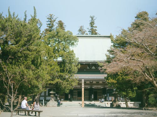 徒歩圏内にお寺がいっぱい