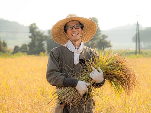 實取 義洋さん(米農家)