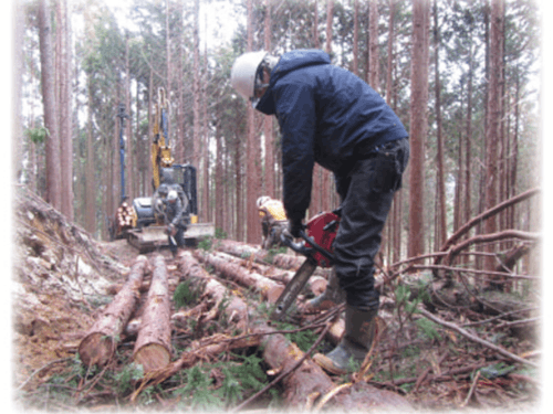 森林組合こうや