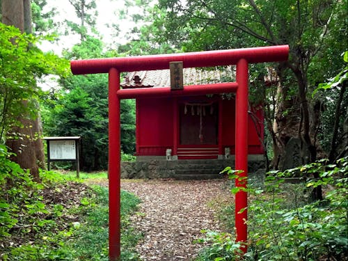 荒嶋の森の中にあるお宮