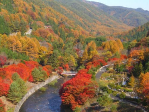 横川渓谷の紅葉