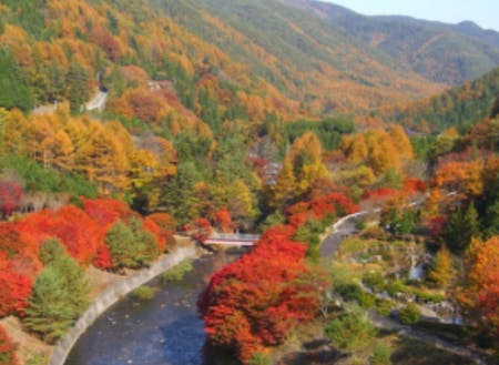 横川渓谷の紅葉