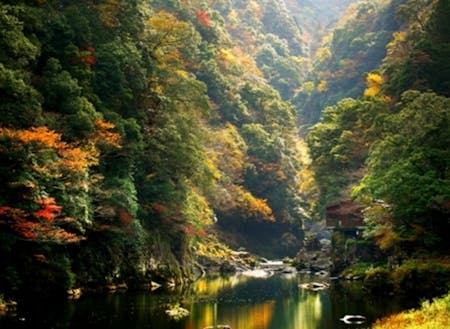 山口県を代表する渓谷の国指定名勝「長門峡」