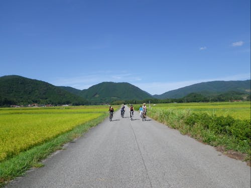 田園風景の中をサイクリング