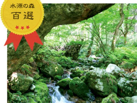 毛無山ブナ林。岡山県下流域、岡山市等に流れていきます。