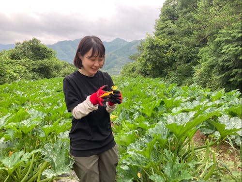 「しまんと流域農業」での農業体験のようす。