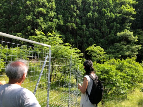 地元の方が大切に育てています。