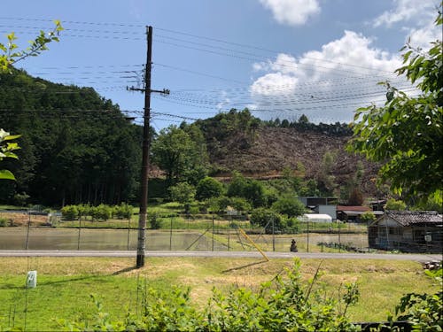 長閑な風景は時間がたつのを忘れさせてくれます・・