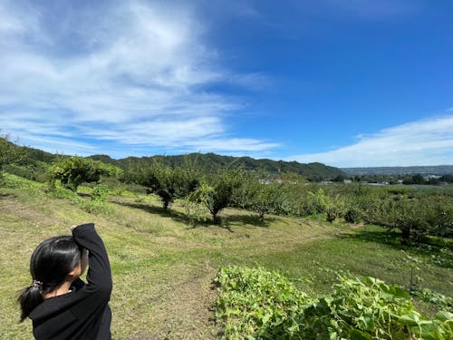 果樹園から広がる絶景