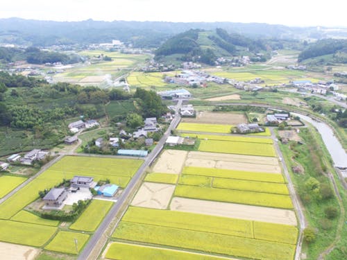 のどかで、ちょうどイイ田舎「倉真」
