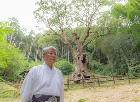 武雄の市名の由来は、樹齢3000年のご神木がある武雄神社にあるとされています。16代宮司武雄さんと。
