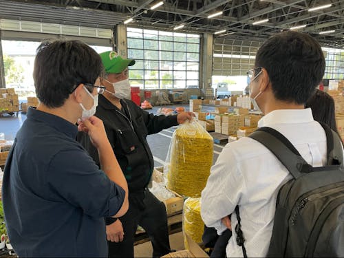 町営青果市場での事前ヒアリング