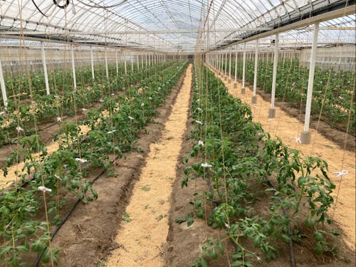 将来独立をお考えの方も大歓迎!しっかり技術をお教えします!