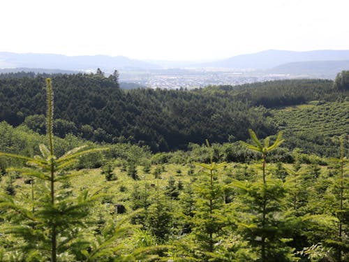 私の暮らす北海道下川町