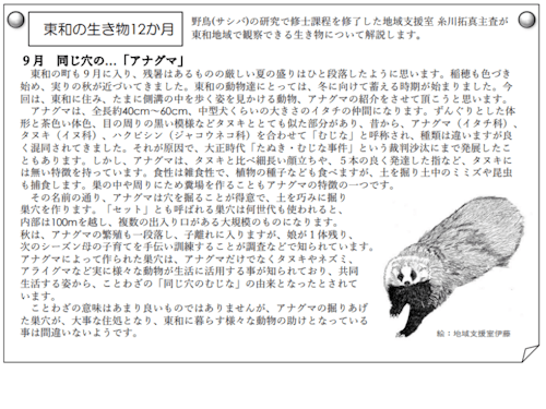 9月号の『東和の生き物12か月』アナグマ