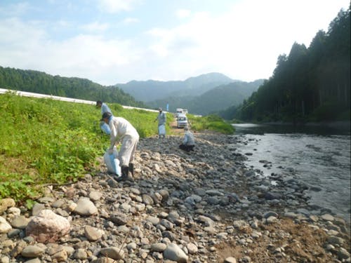 組合員による漁場清掃の様子
