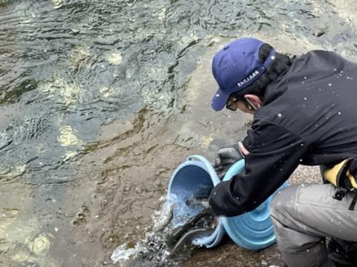 放流の様子