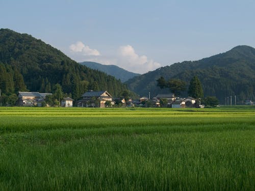 笠原さんが住む地域の風景です!まさに田舎暮らし!