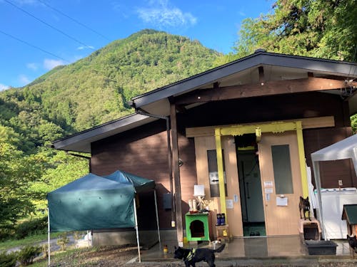 泰阜ジビエもみじやの外観(スタッフの犬達とともに)