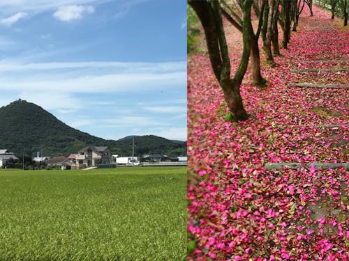 三木町/さぬき市