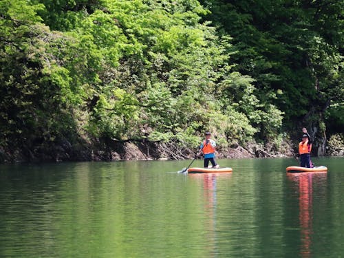 雄大な自然を満喫!SUP(立ち漕ぎボート)体験