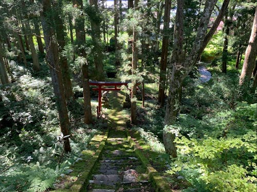「Little Japan Echigo」近くの神社