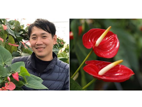 川俣町へ移住後、アンスリウム農家として活躍中の谷口さん