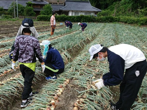 地元だけでなく、他地域の子供達とも接点を持ち、地域のことを知ってもらったり、農業体験を手伝ったりしてきました